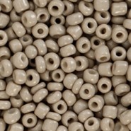Seed beads 8/0 (3mm) Ash green-grey